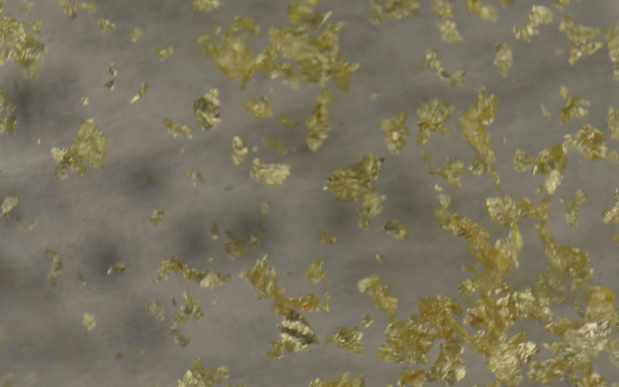 GoldLeaves